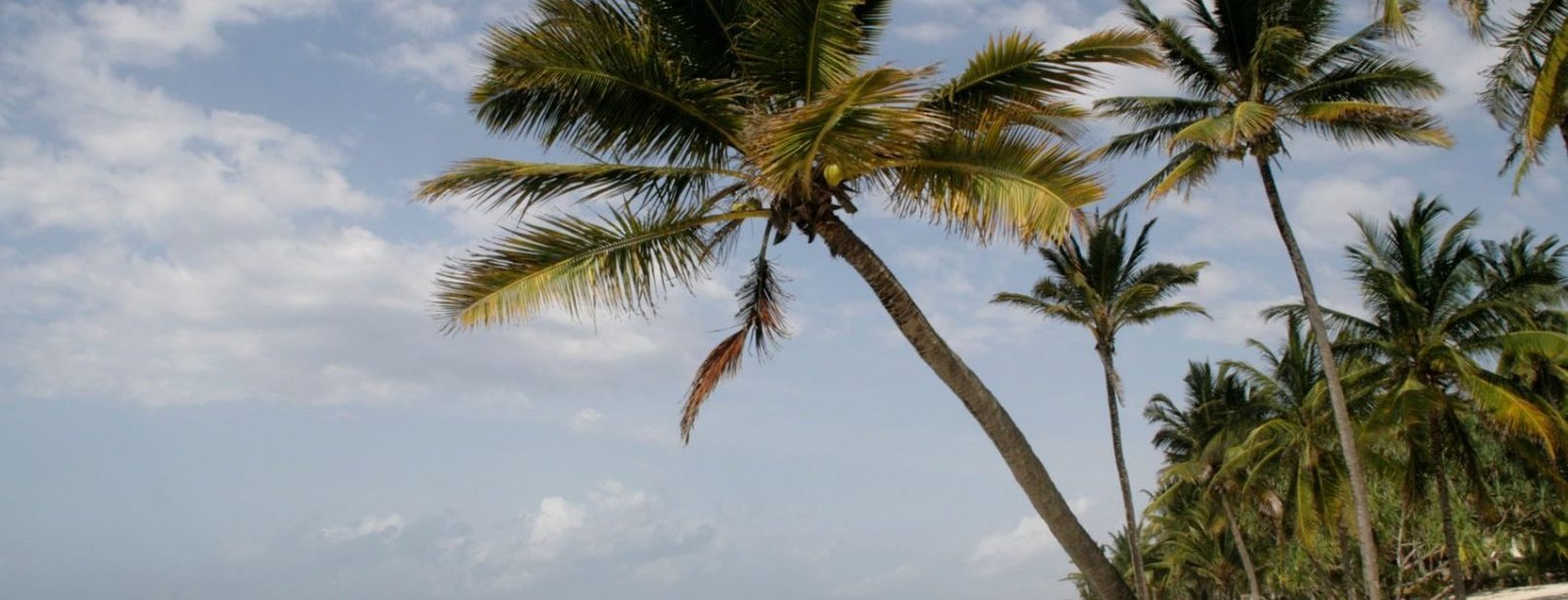 Mombasa Beach