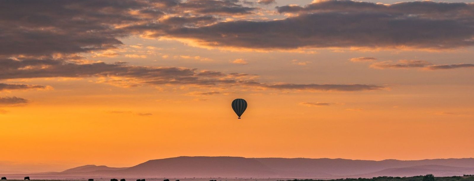 Serengeti Luxe Escape Hero